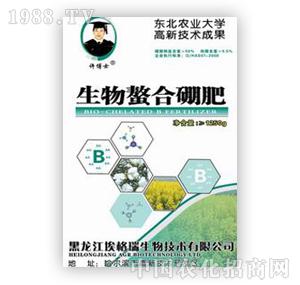 �S��ʿ-�����������