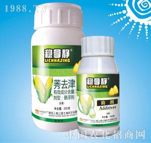 �ϸ�֮·-��(w��n)���o��38%ݬȥ��Ҹ�����