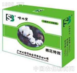 ��ʩ��-��ʩ���޻�