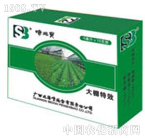 ��ʩ��-��ʩ������