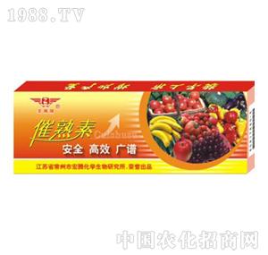 ���v����-������