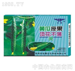 ���v����-�S������픻�����