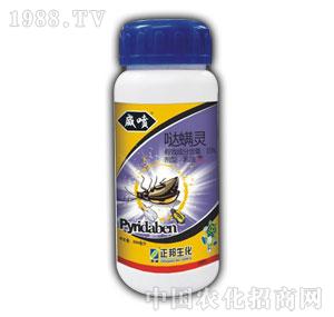 ����F(tu��n)-����