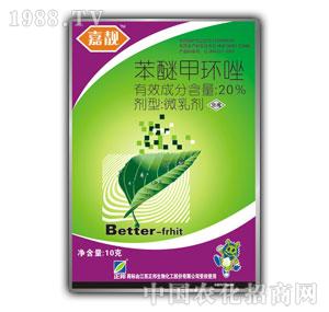 ����F(tu��n)-���n