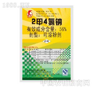 ����-2��4���c