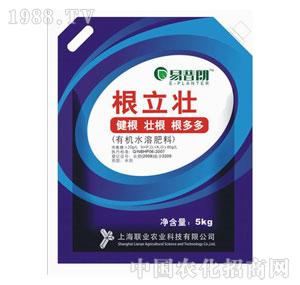 �Ϻ�(li��n)�I(y��)-�����ʸ�����