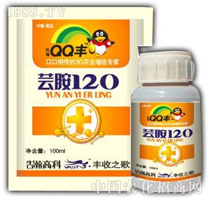 ���-���o(h��)���|��120