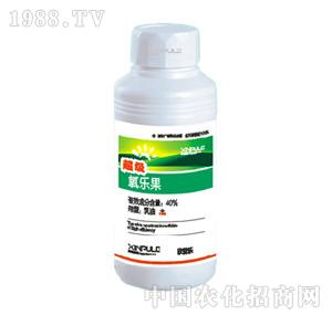 ���՘�-����(j��)������