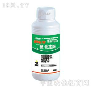 ���՘�-�������x��