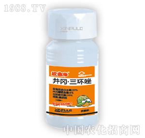 ���՘�-�������h(hu��n)��