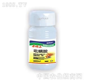 ���՘�-������