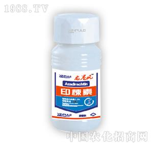 ���՘�-ӡ���