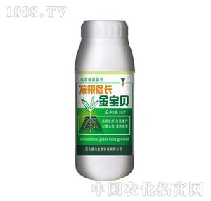 ����-�l(f��)�����L����ؐ