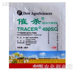 �V�|���-�ߚ������x����-����(gu��)����