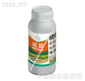 �V�|���-���ԣ����݄���-��(gu��)�ݶ�