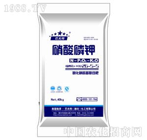 �������26-5-5