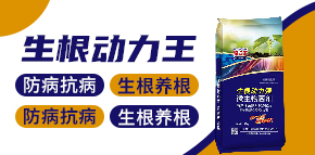 ɽ�|�����������＼�g(sh��)���޹�˾